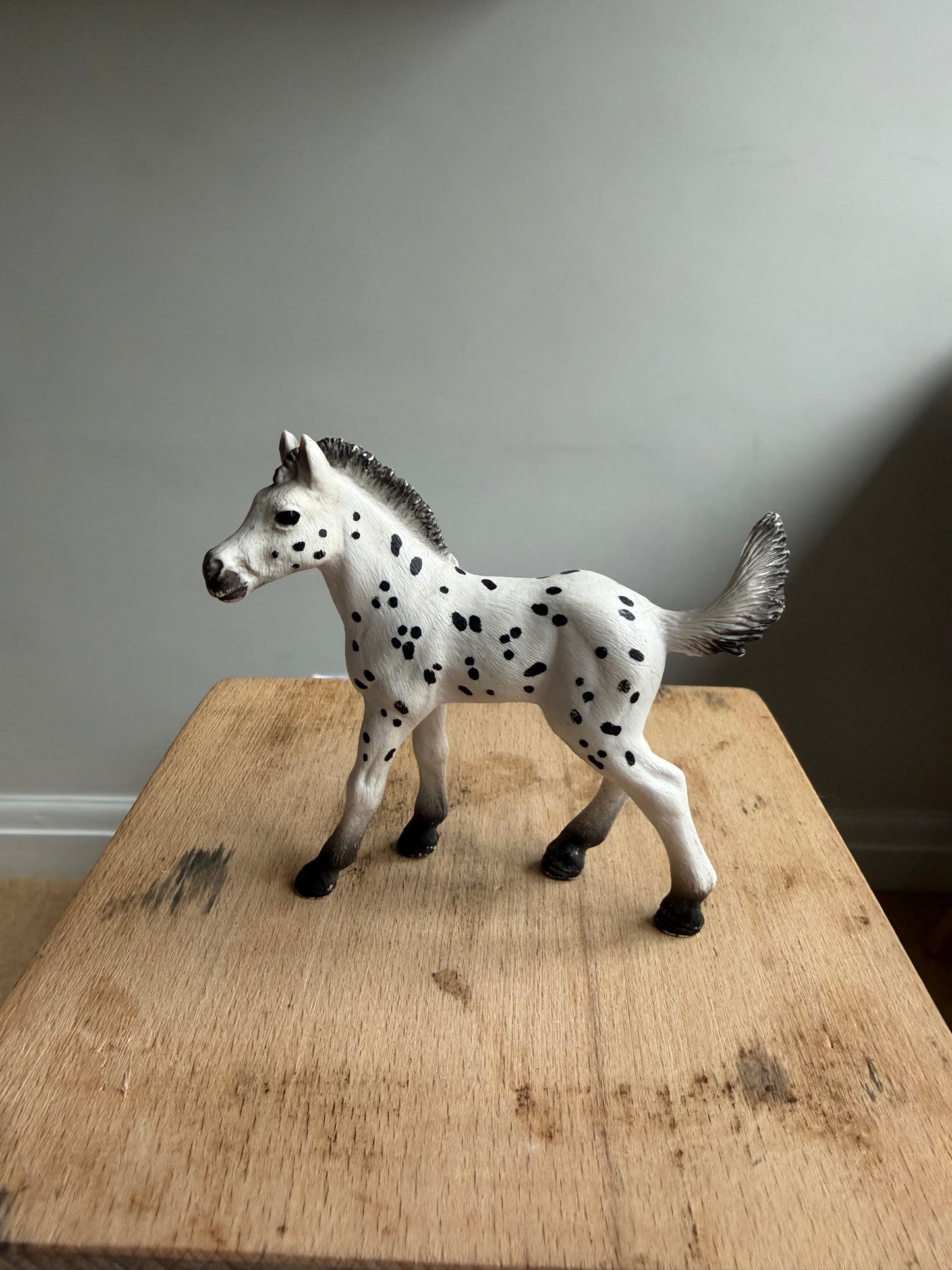 ✨ Re-Loved Rockstar Knabstrupper Foal –✨