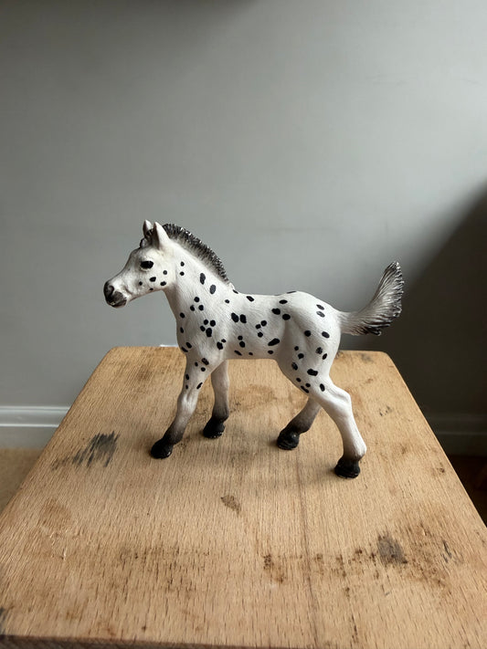 ✨ Re-Loved Rockstar Knabstrupper Foal –✨