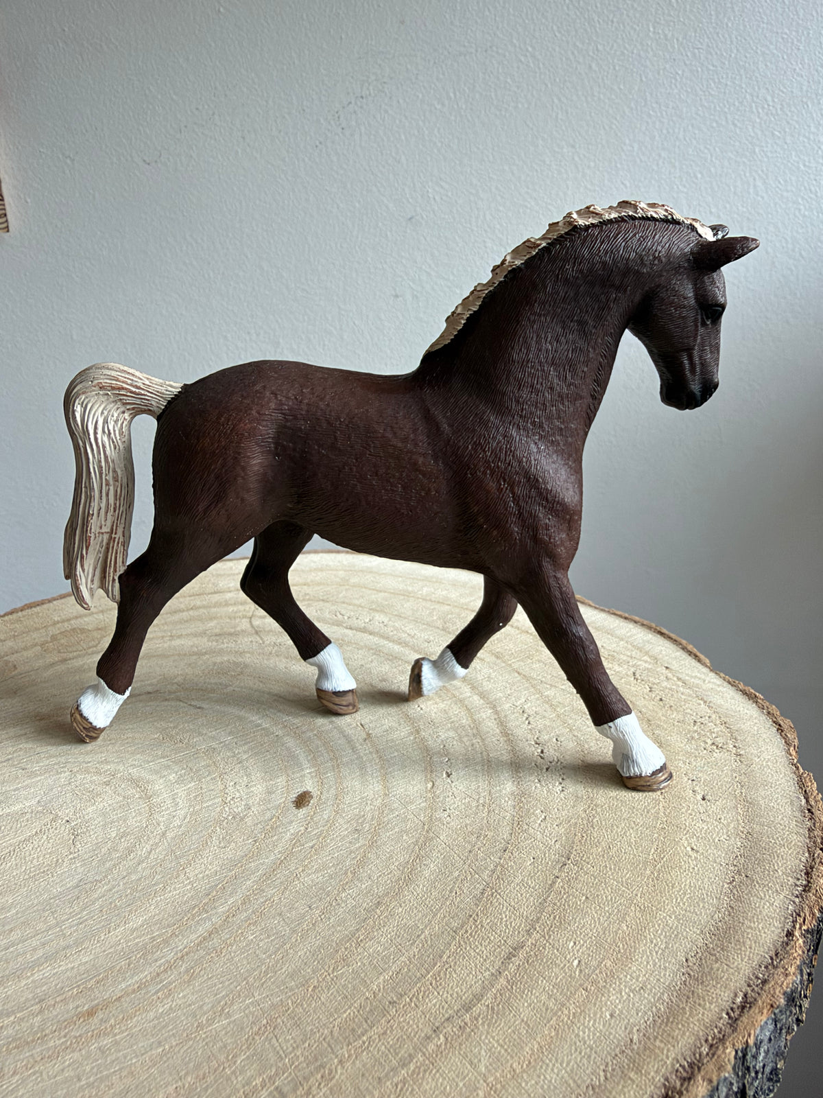 ✨Re-Loved Rockstar – Holsteiner Mare - Luna 2017