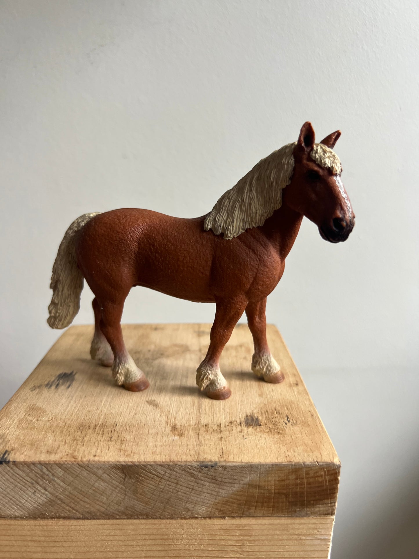 ✨Re-Loved Rockstar  – Belgian Draft Mare ✨Dolly