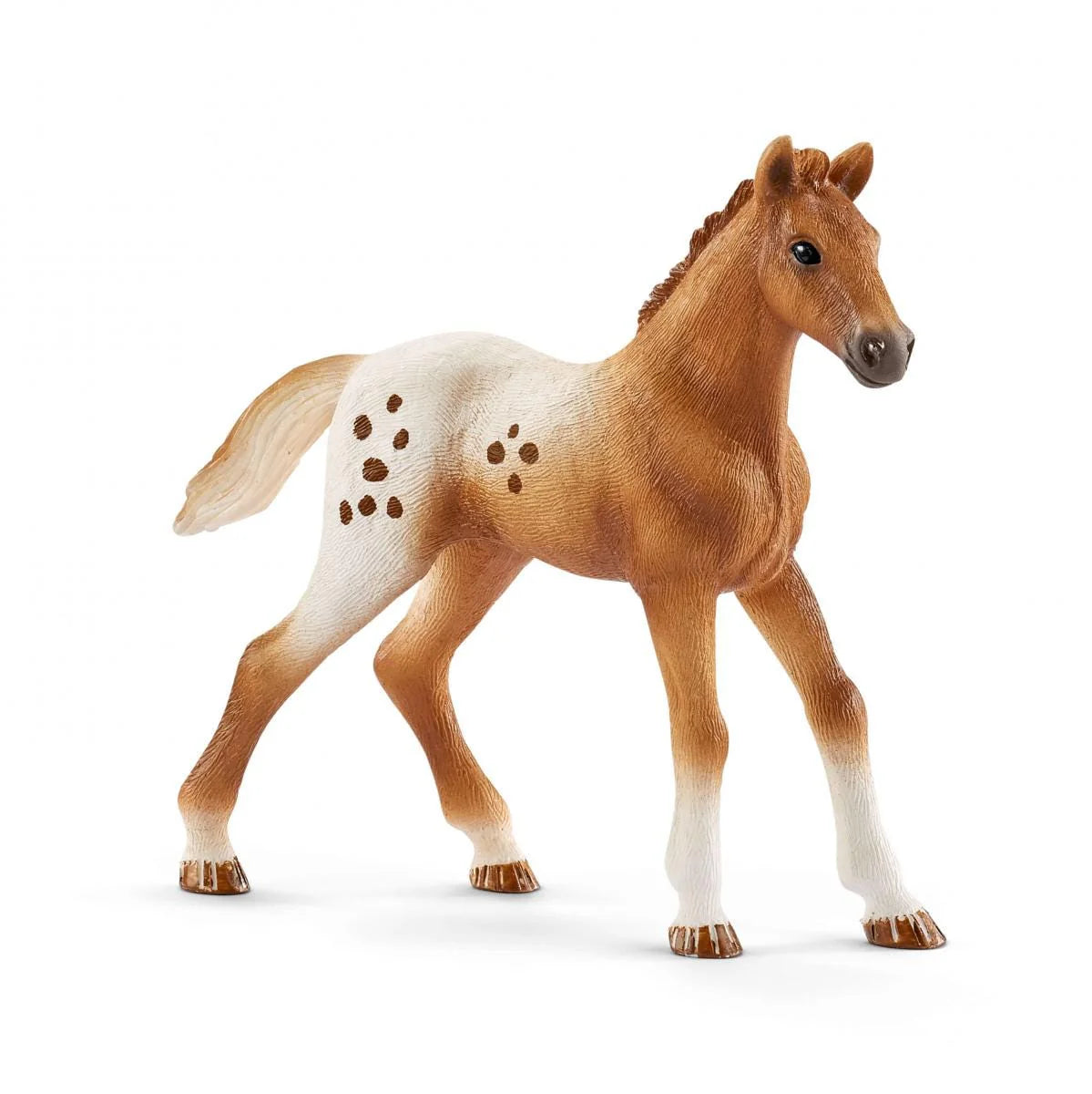 ✨ Re-Loved Rockstar Appaloosa Foal –✨