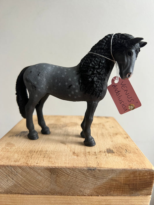 ✨Re-Loved Rockstar  – Andalusian Mare✨Venus