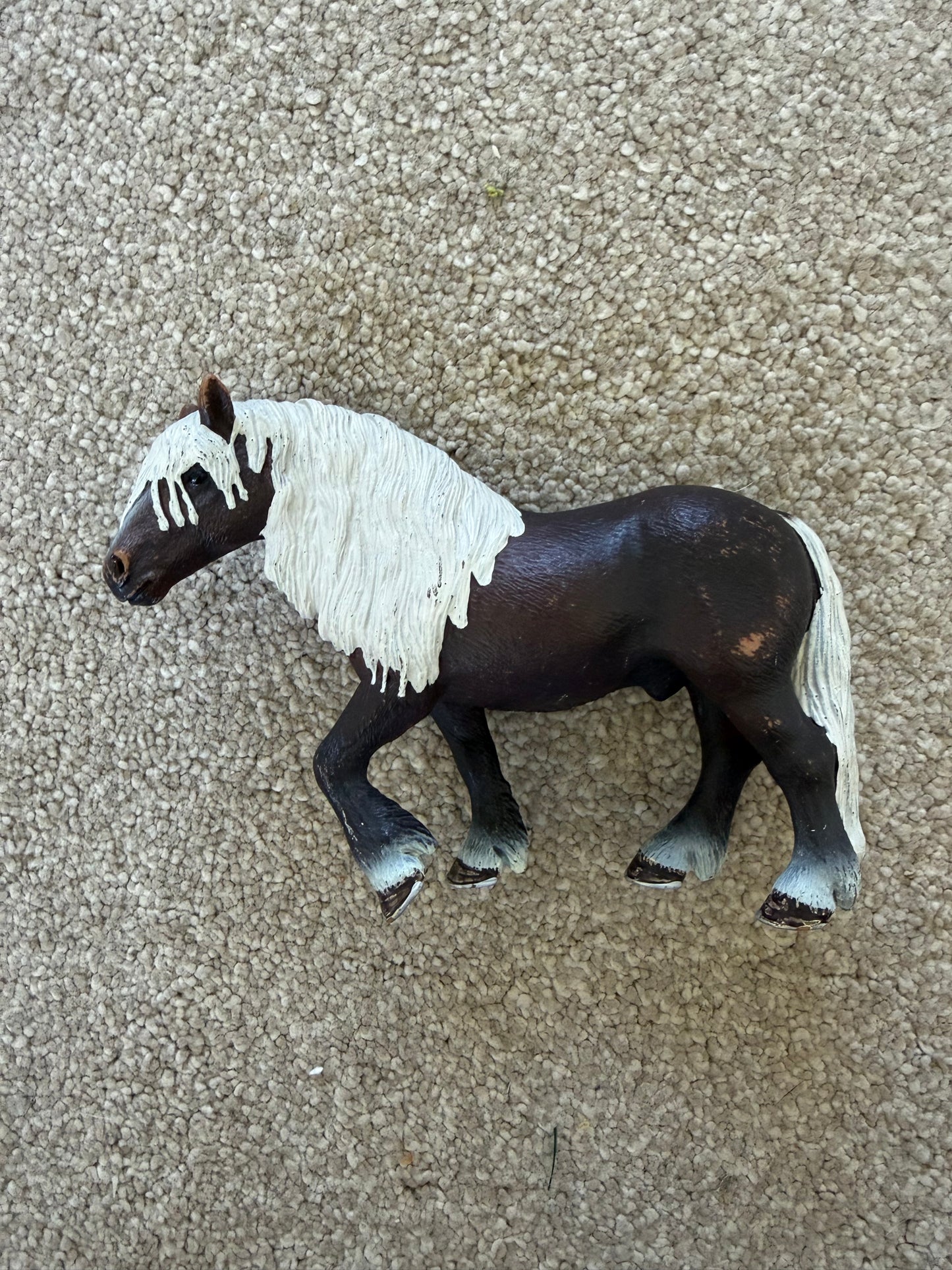 Re-Loved Rockstar: Black Forest Stallion. Rupert