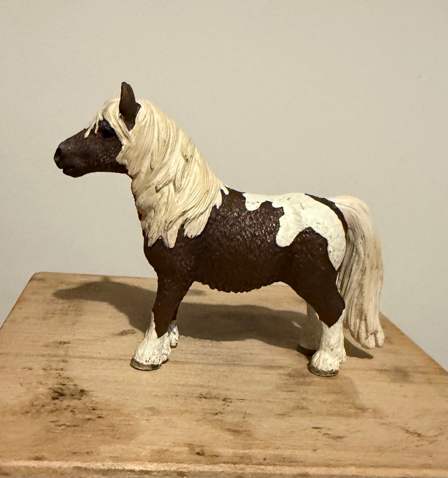 ✨Re-Loved Rockstar Shetland– Rascal