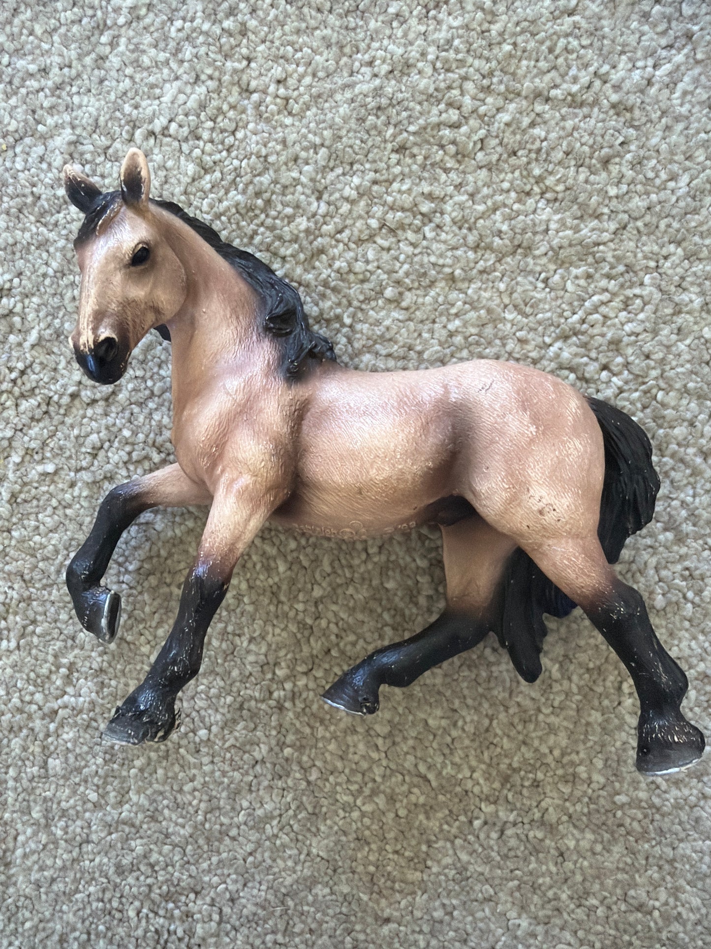 ✨Re-Loved Rockstar – Lusitano Gelding- Otis✨