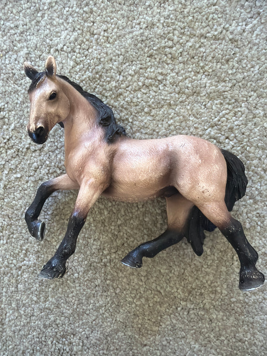 ✨Re-Loved Rockstar – Lusitano Gelding- Otis✨