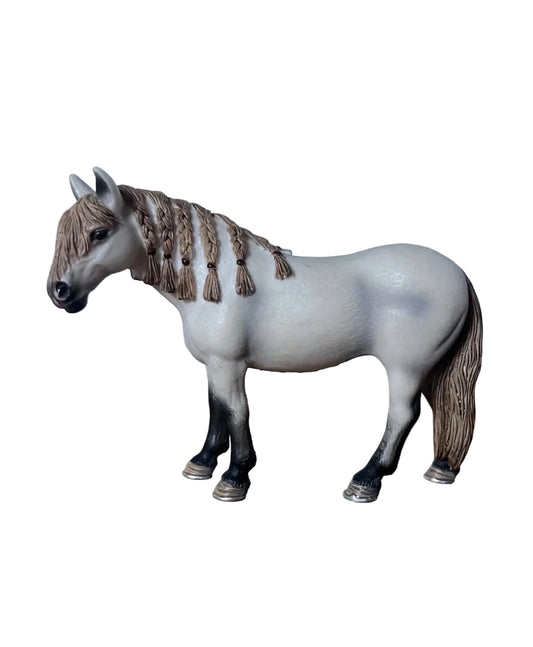 ✨ Re-Loved Rockstar Andalusian Mare – Heidi✨