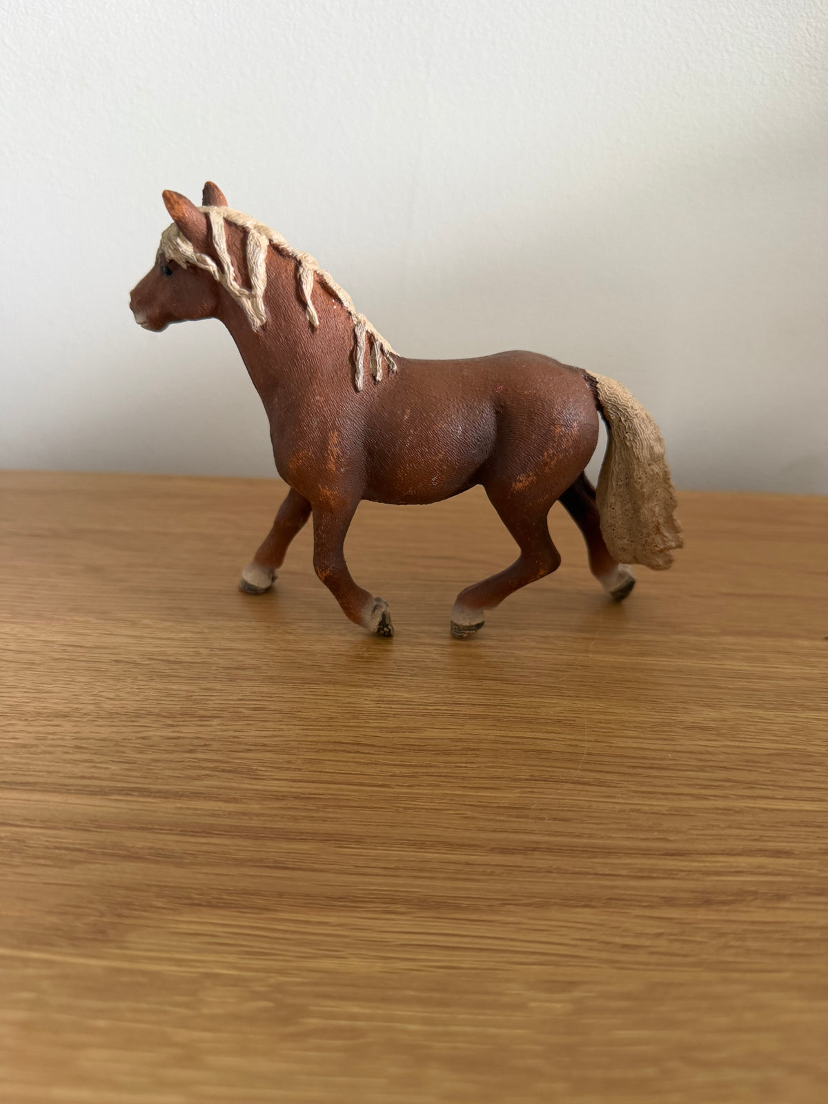 ✨Re-Loved Rockstar Haflinger Stallion – Robin
