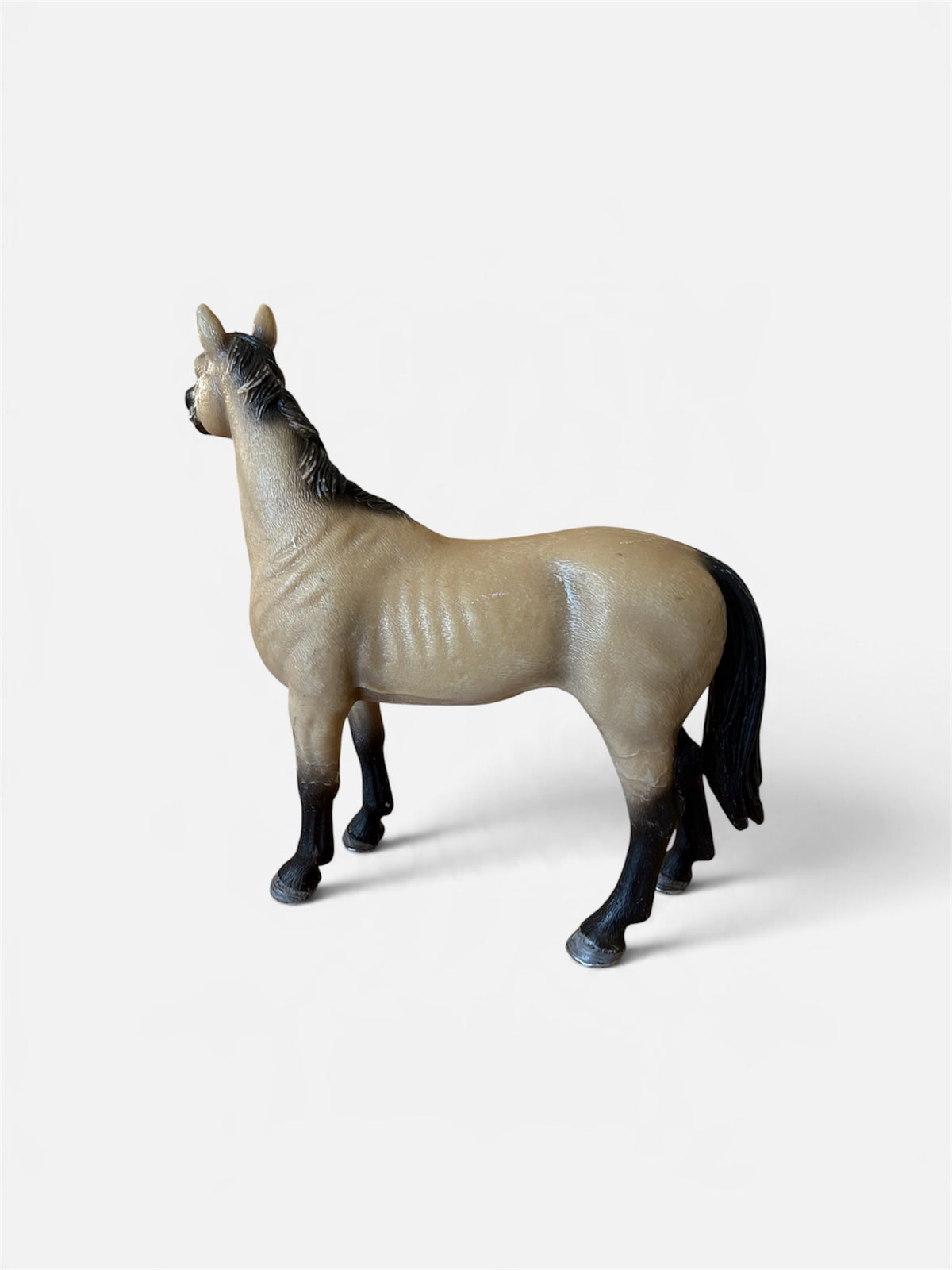 ✨Re-Loved Rockstar  Akhal-Teke  Stallion - Orion 2010✨