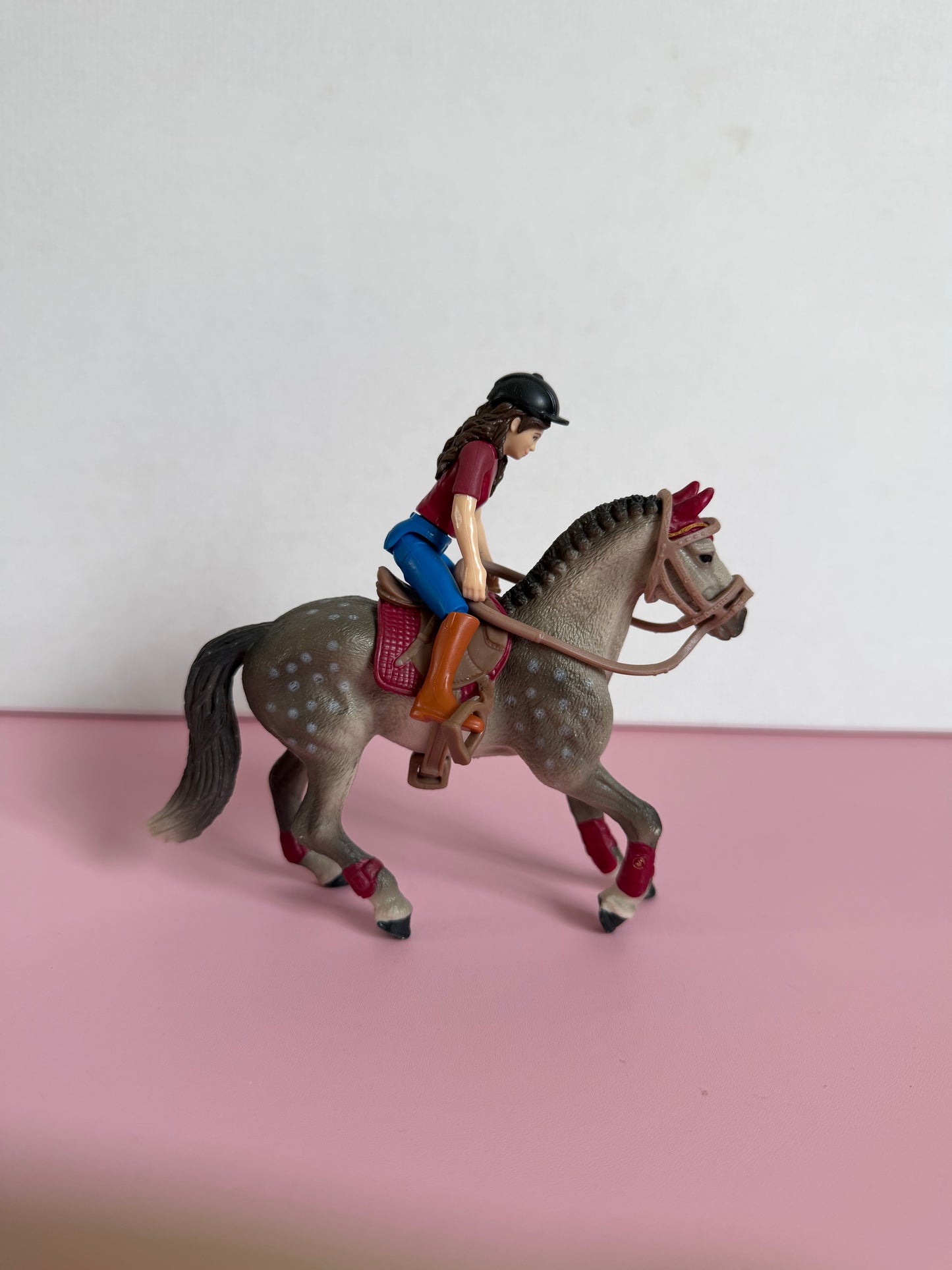 Re-Loved Rockstar: Trakenher mare and Rider Lisa