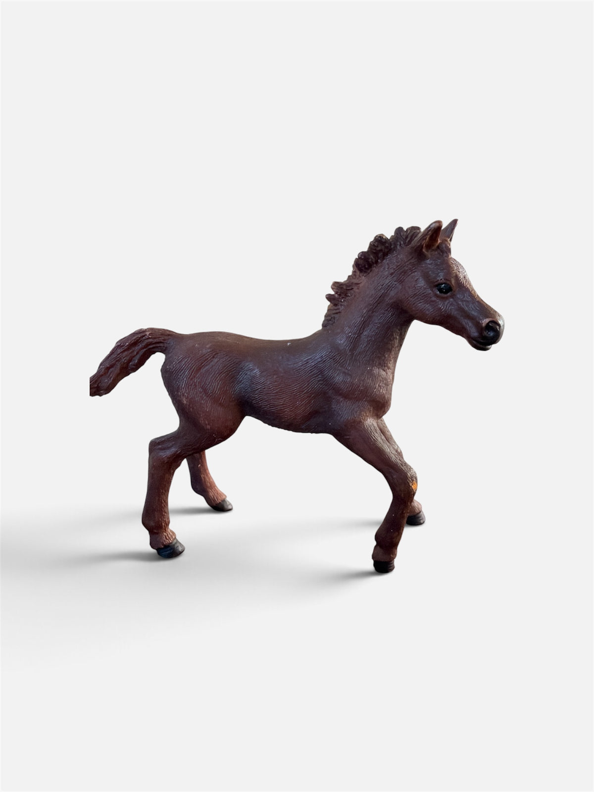 ✨ Re-Loved Rockstar Thoroughbred Foal – Ruby ✨