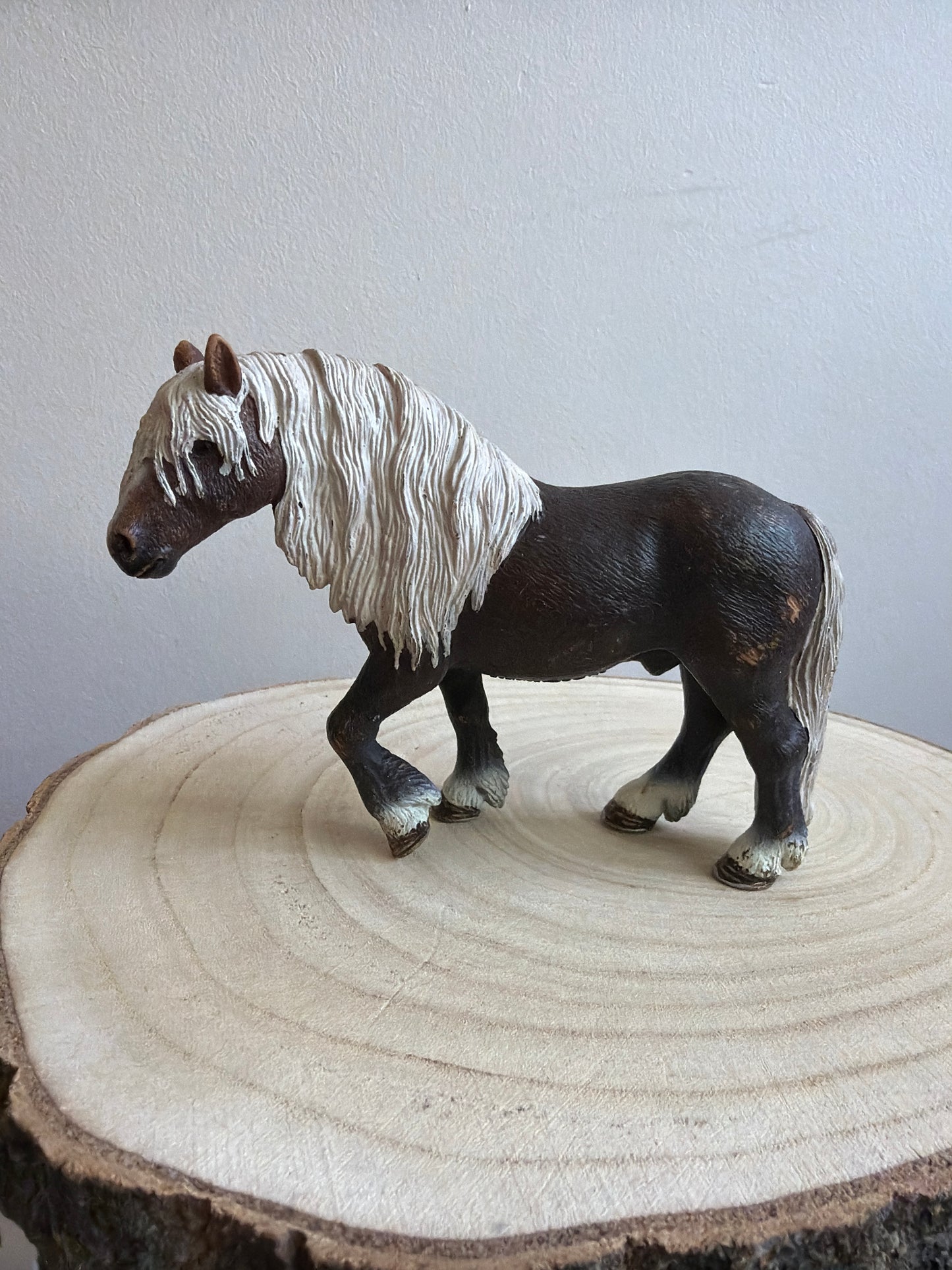 Re-Loved Rockstar: Black Forest Stallion. Rupert