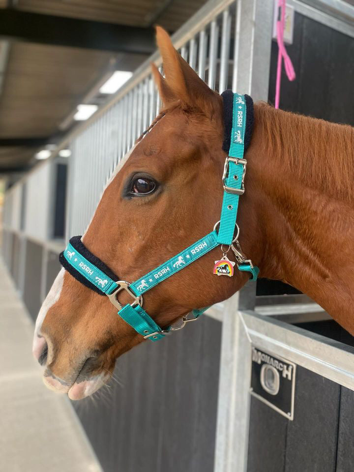 Rock Star Rocking Horse Head Collar - Rebel Teal