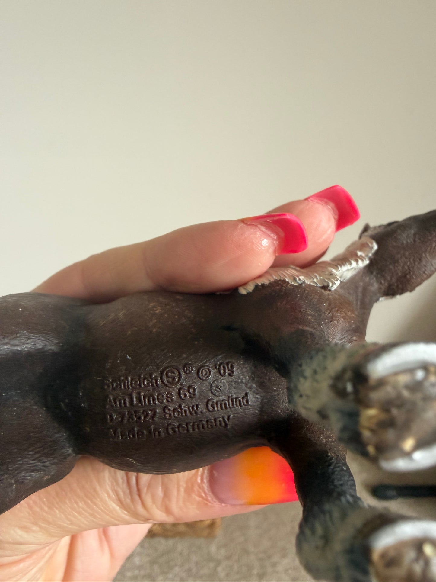 Re-Loved Rockstar: Black Forest Mare Retired