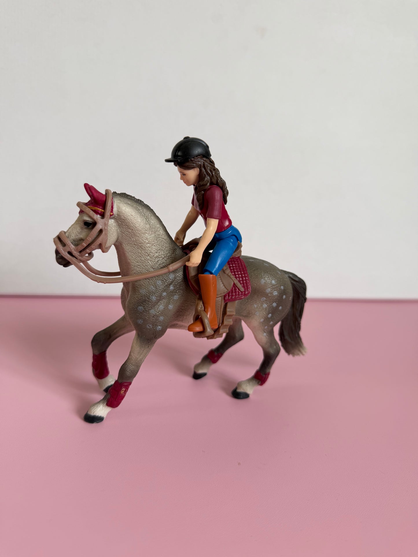 Re-Loved Rockstar: Trakenher mare and Rider Lisa