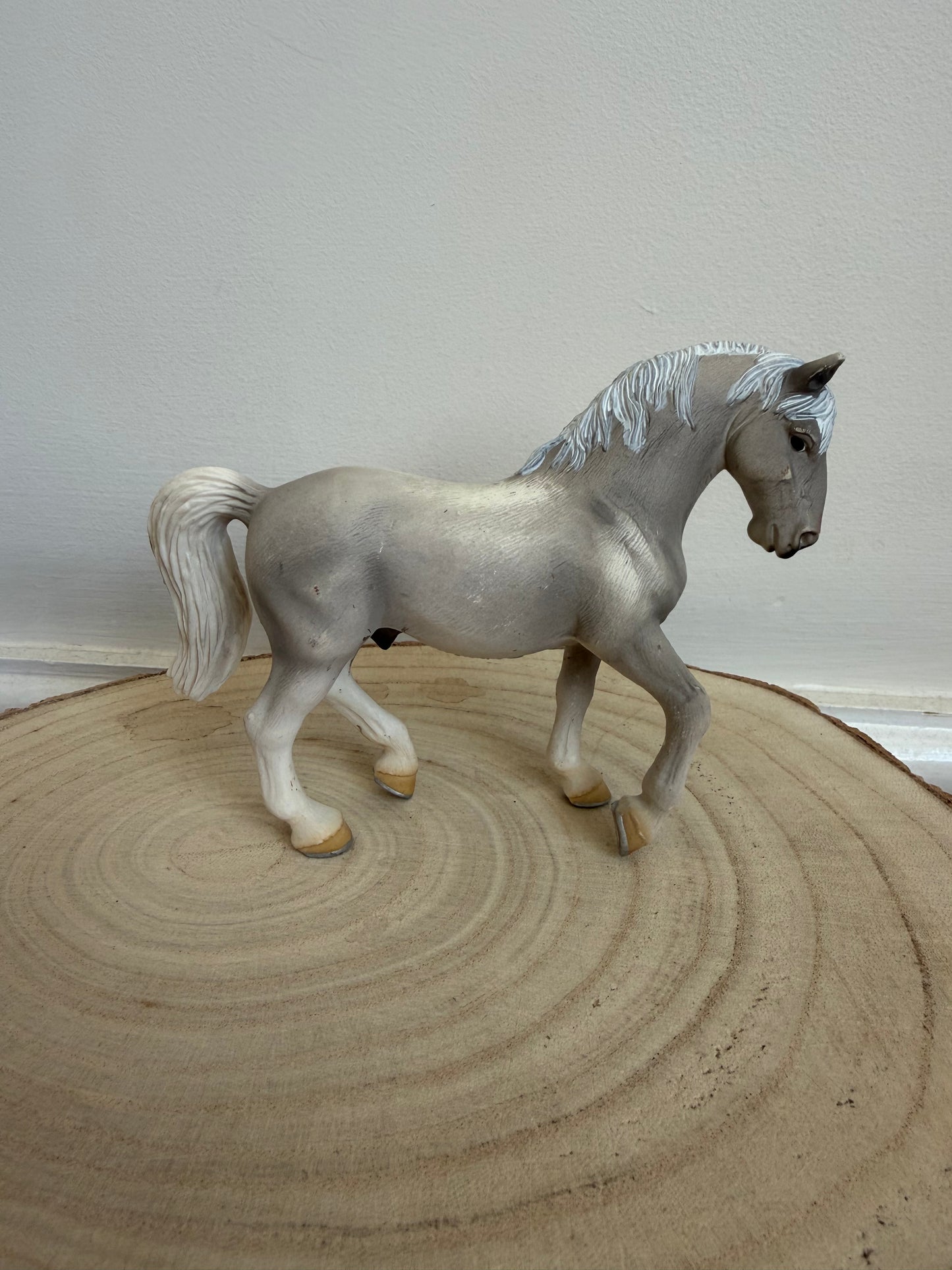 Re-Loved Rockstar: Lipizzaner Gelding- Arturo 2004