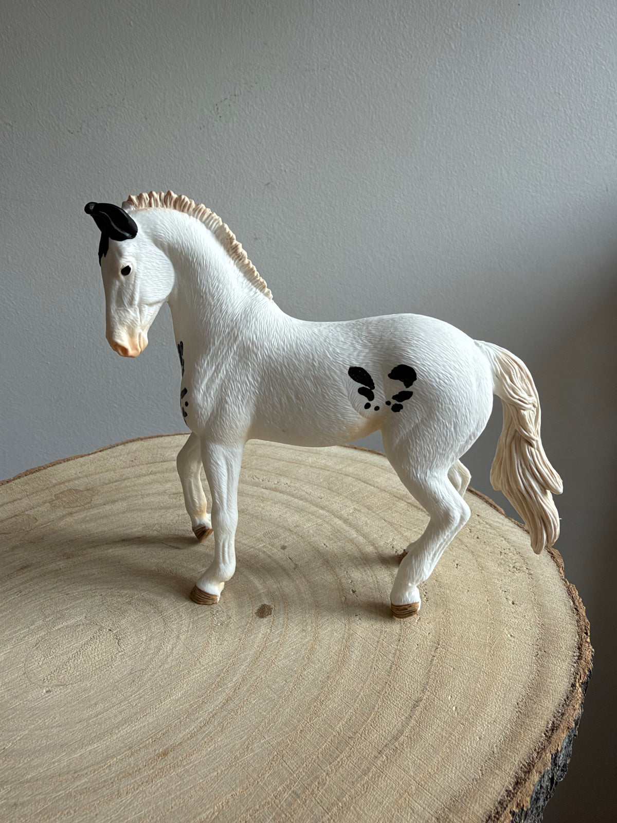 Re-Loved Rockstar: Marwari Stallion -Arjun