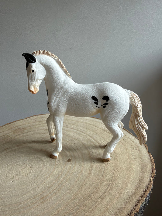 Re-Loved Rockstar: Marwari Stallion -Arjun