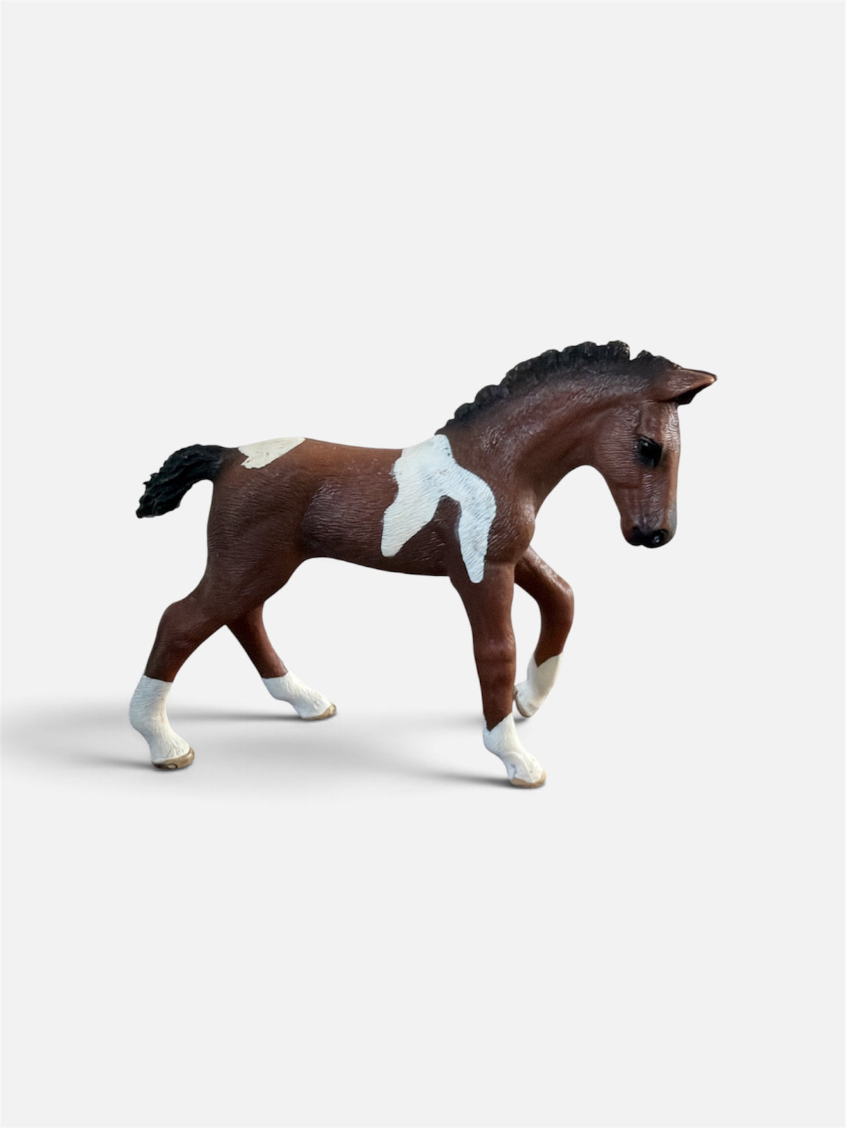 ✨ Re-Loved Rockstar Trakehner Foal –Mochi✨