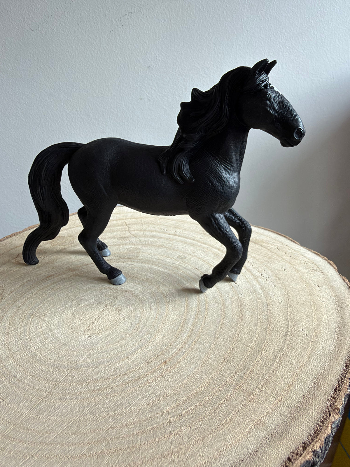 ✨Re-Loved Rockstar – Lusitano Stallion- Dante ‘26✨