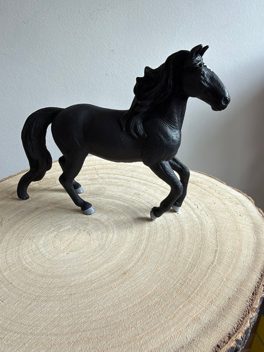 ✨Re-Loved Rockstar – Lusitano Stallion- Dante ‘26✨