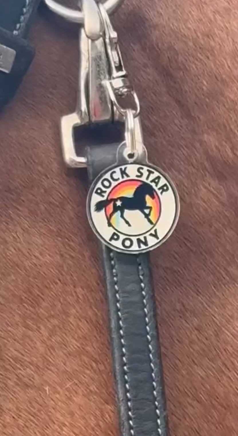 Rebel Rider Charm Set