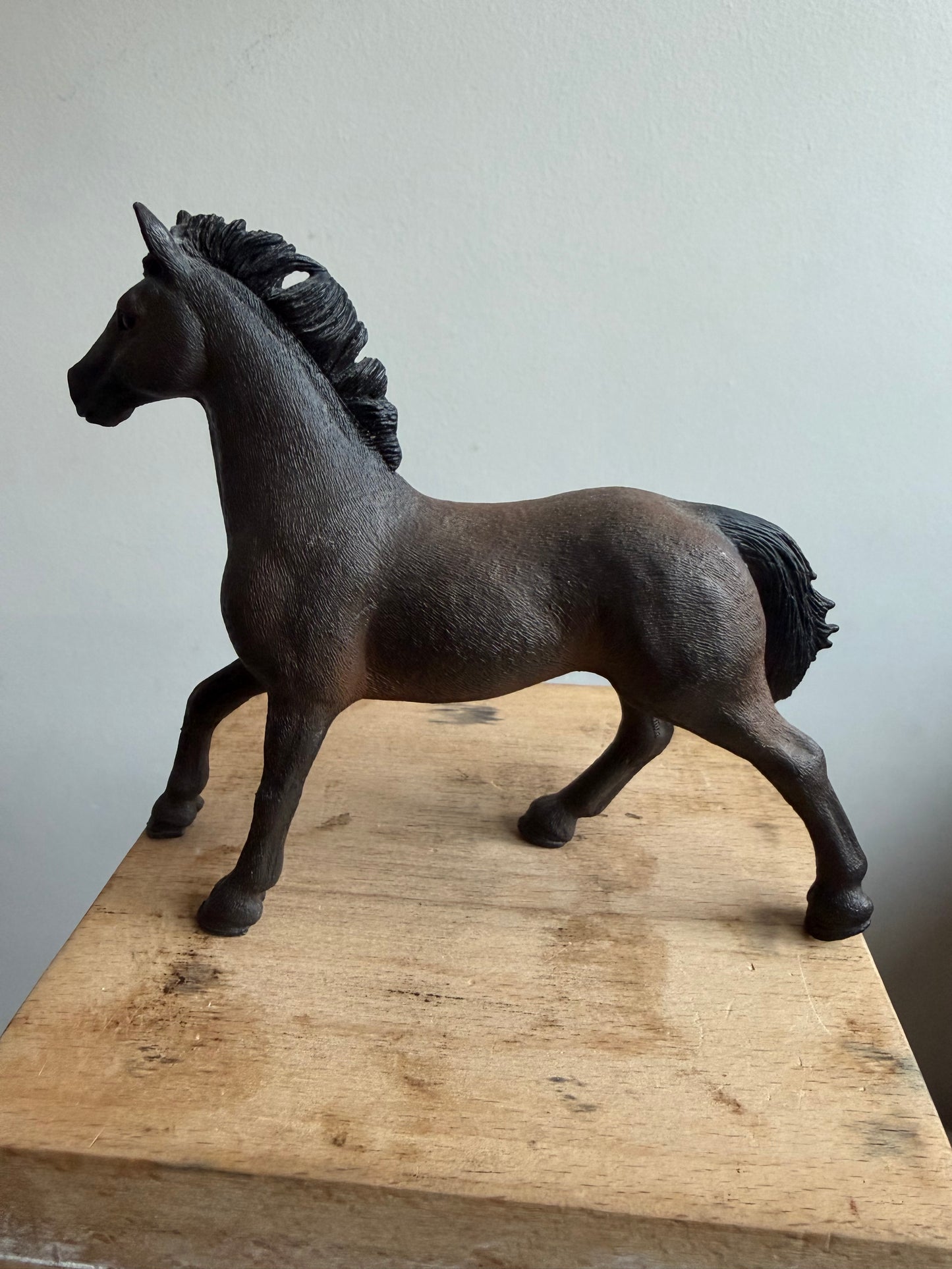 ✨Re-Loved Rockstar Oldenburger Stallion– Hawk ✨