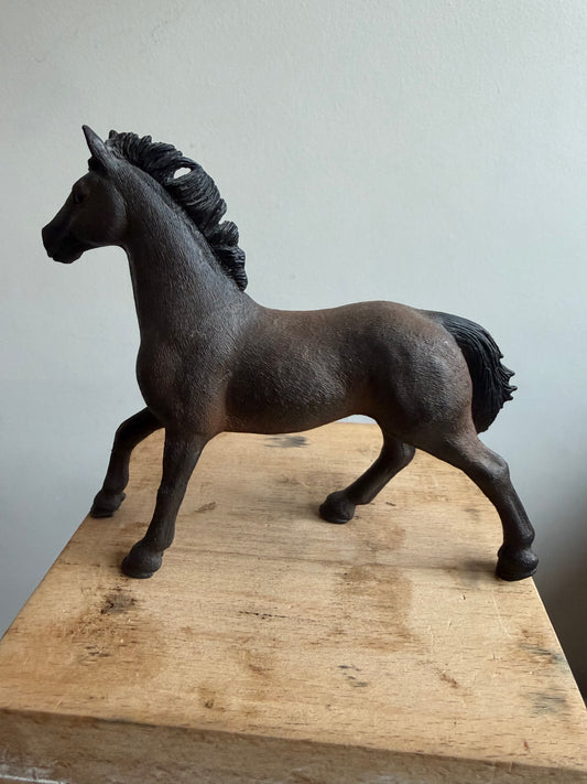 ✨Re-Loved Rockstar Oldenburger Stallion– Hawk ✨