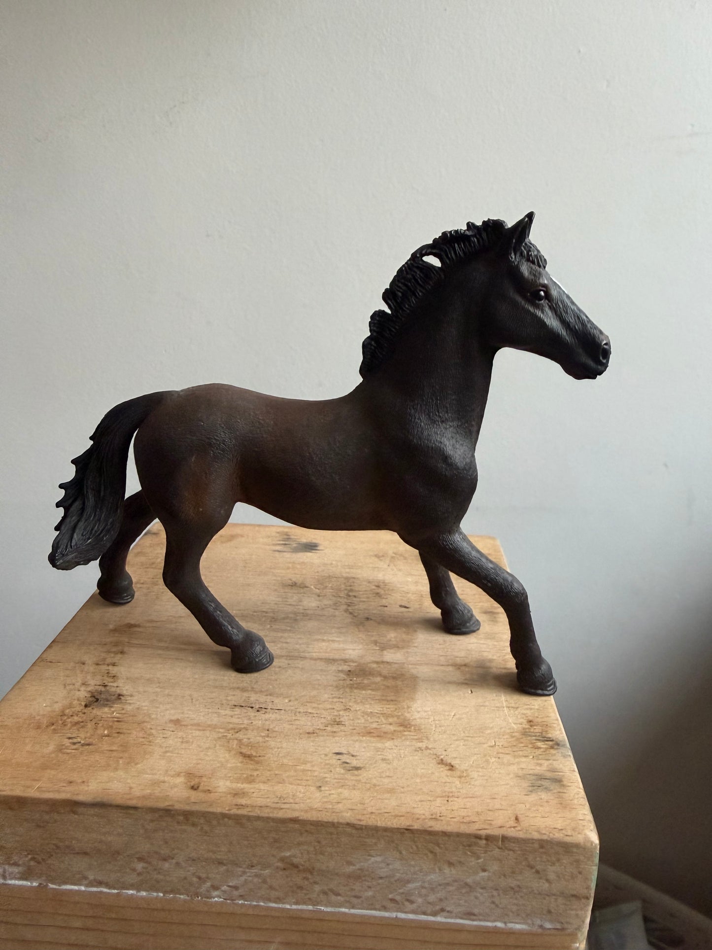 ✨Re-Loved Rockstar Oldenburger Stallion– Hawk ✨