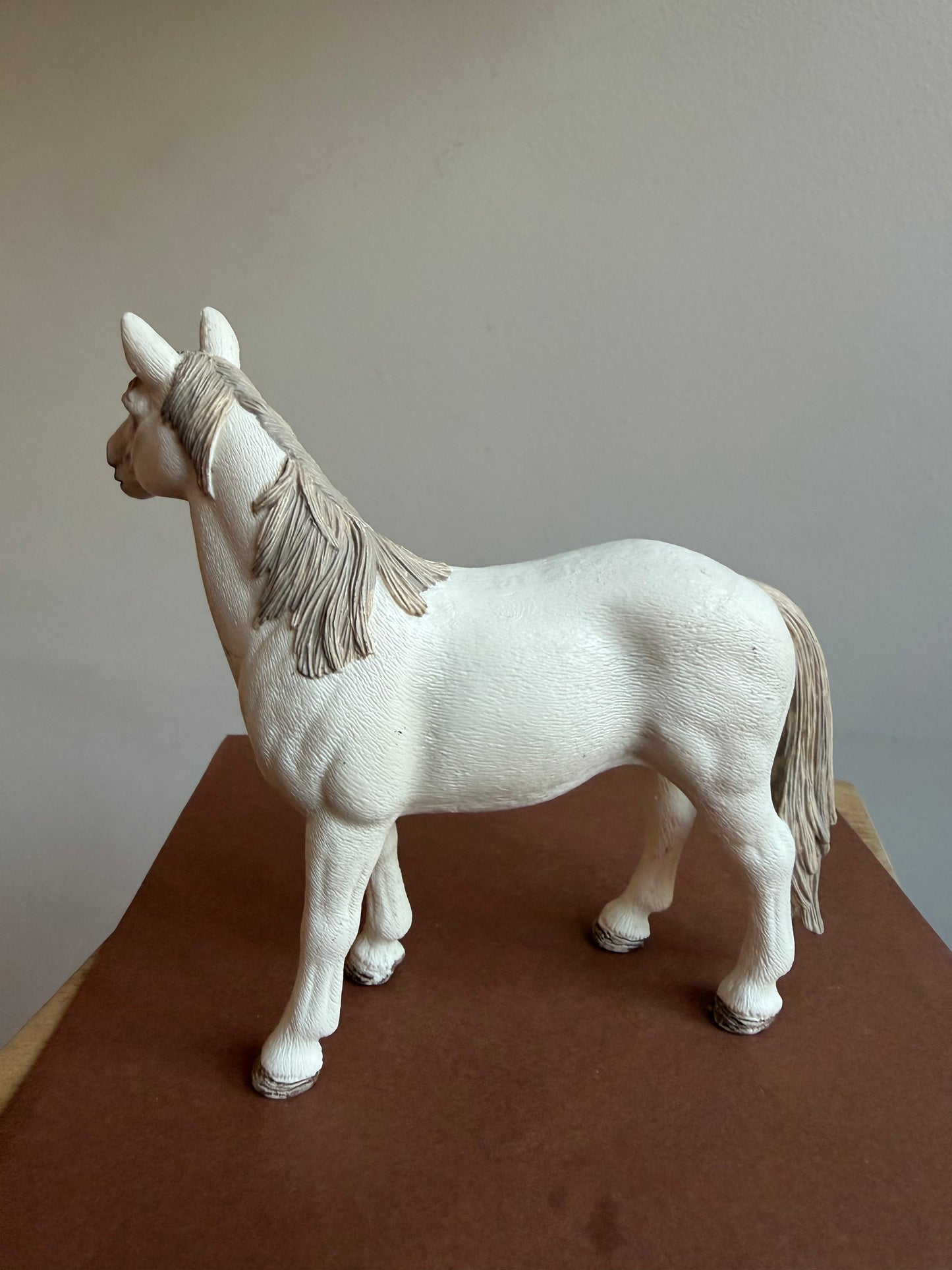 ✨Re-Loved Rockstar Mustang Mare – Flint✨