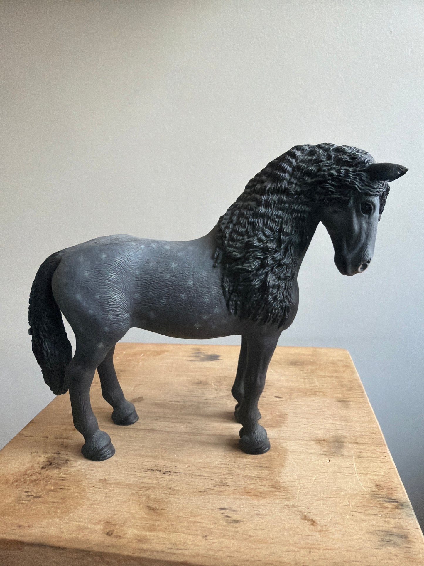 ✨Re-Loved Rockstar  – Andalusian Mare✨Rosa