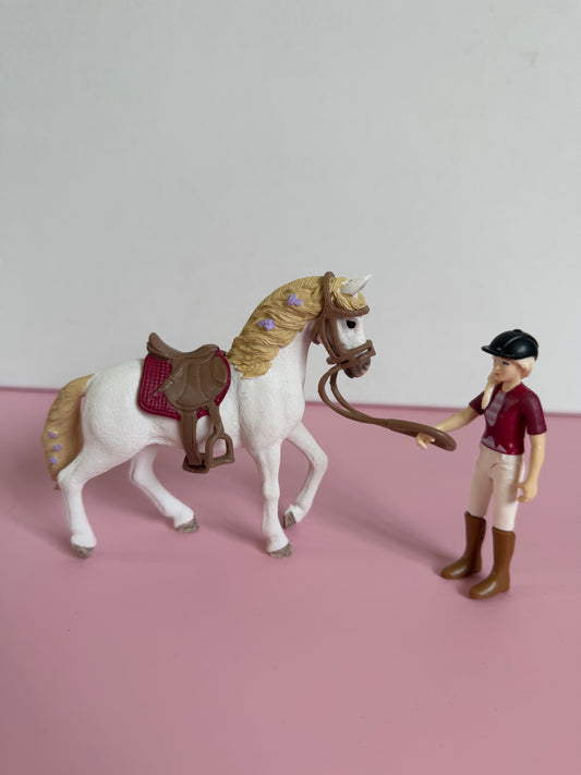 Re-Loved Rockstar: Andalusian mare Blossom and Rider Sofia