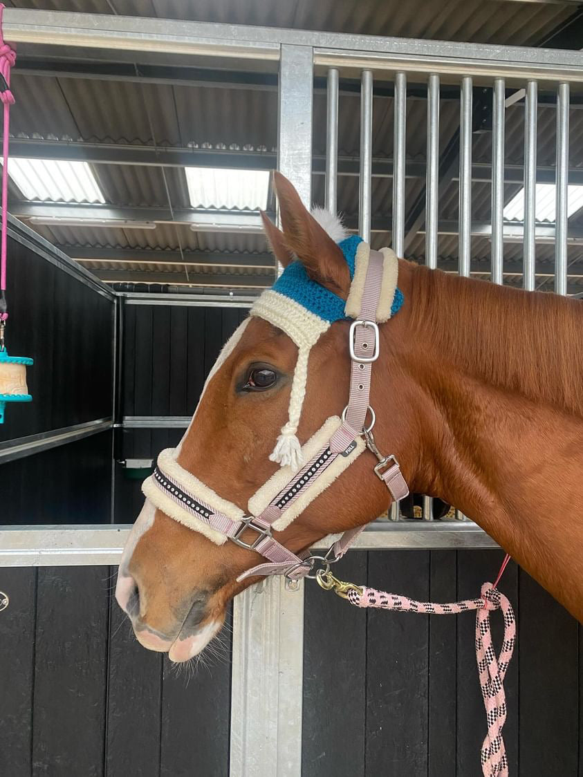 Festive Horse Crochet Bobble Hat