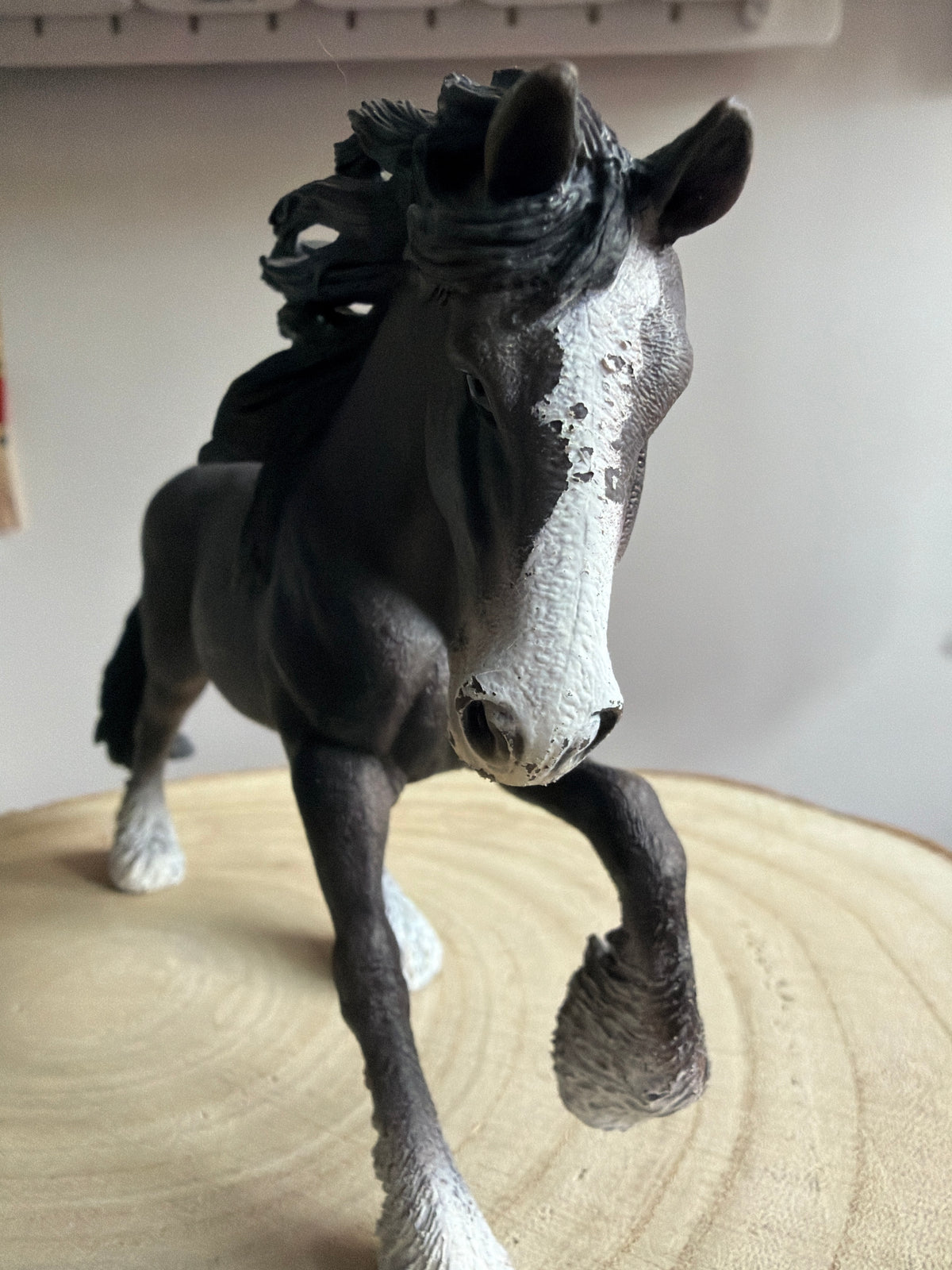 ✨Re-Loved Rockstar Shire – Freckles-Damaged Paint