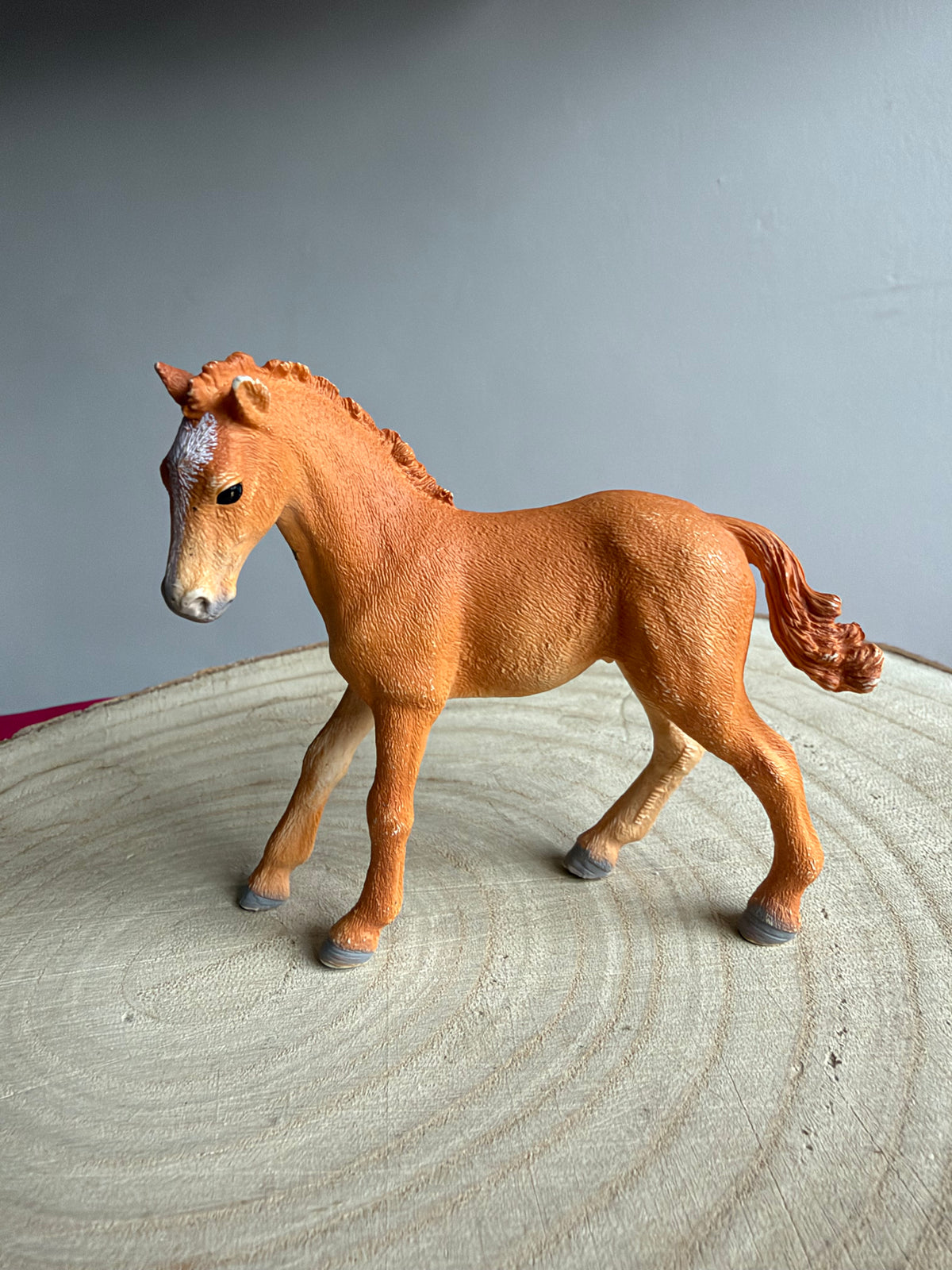 ✨ Re-Loved Rockstar Tennessee Walker Foal – Mikey ✨