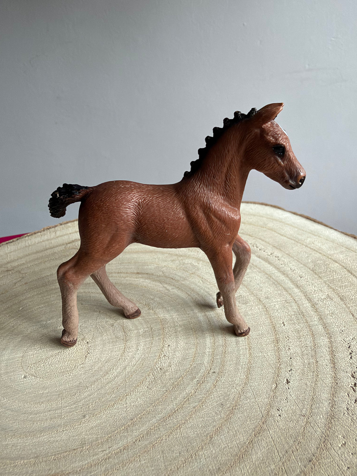 ✨ Re-Loved Rockstar Hanoverian Foal – Fudge✨