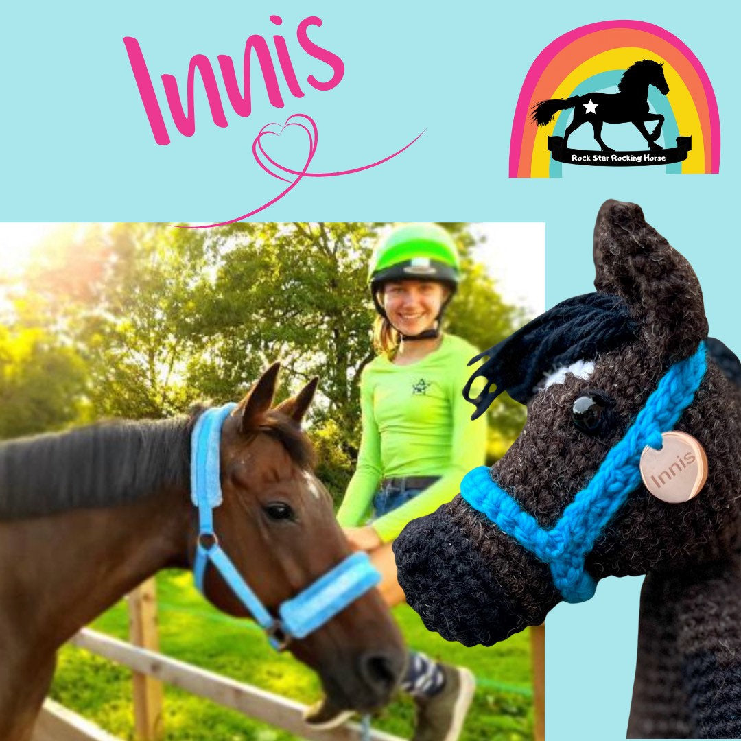Crochet Horse & Pony - Personalised Horse, Horse Gifts, Pet Loss, memorial, Unique keepsake. Custom Horse Plush.